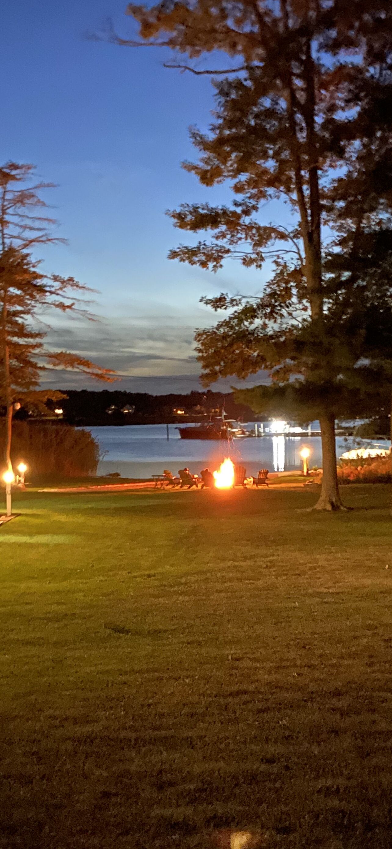 A grassy area with a body of water, trees, and a distant view of a dock.