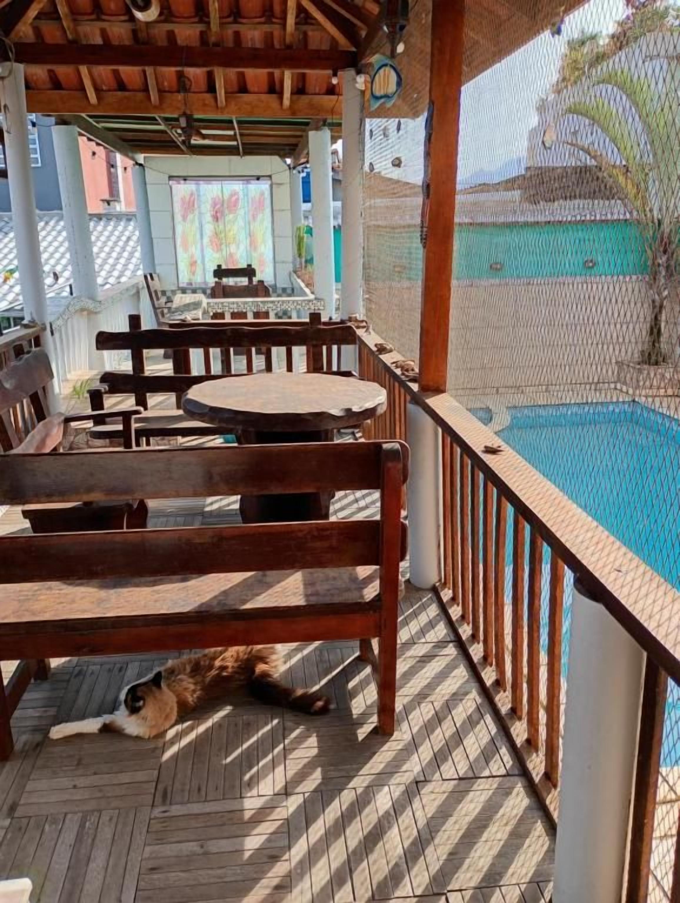 Uma área externa coberta com piscina, móveis de madeira e um gato deitado no chão.