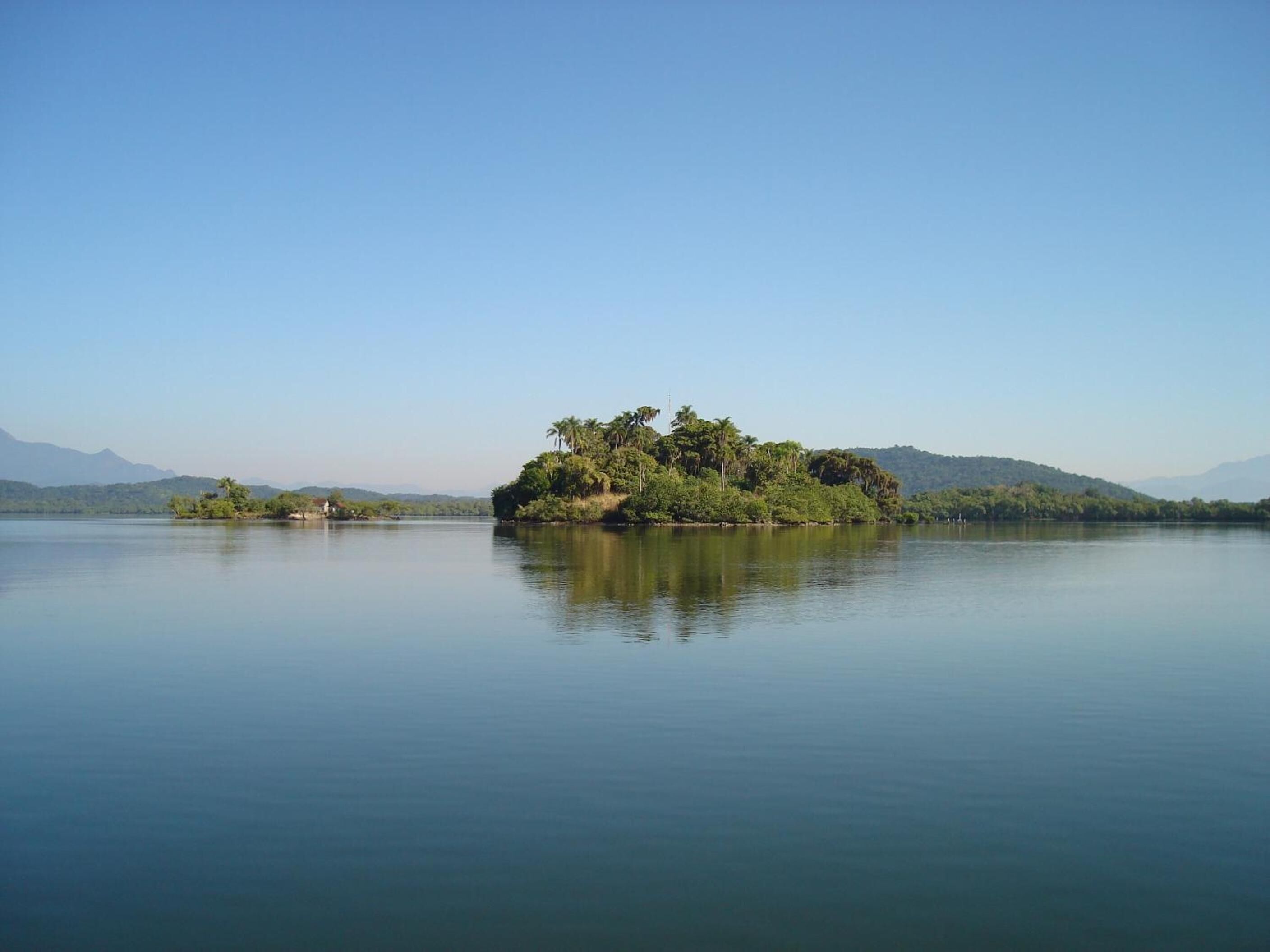 A tranquil lake with a small island featuring dense greenery and a few palm trees.