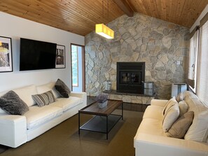 Smart TV, chimenea, videojuegos y reproductor de DVD 