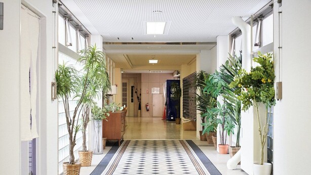 Un pasillo de hotel con alfombra estampada, plantas en macetas y un mostrador de recepción.