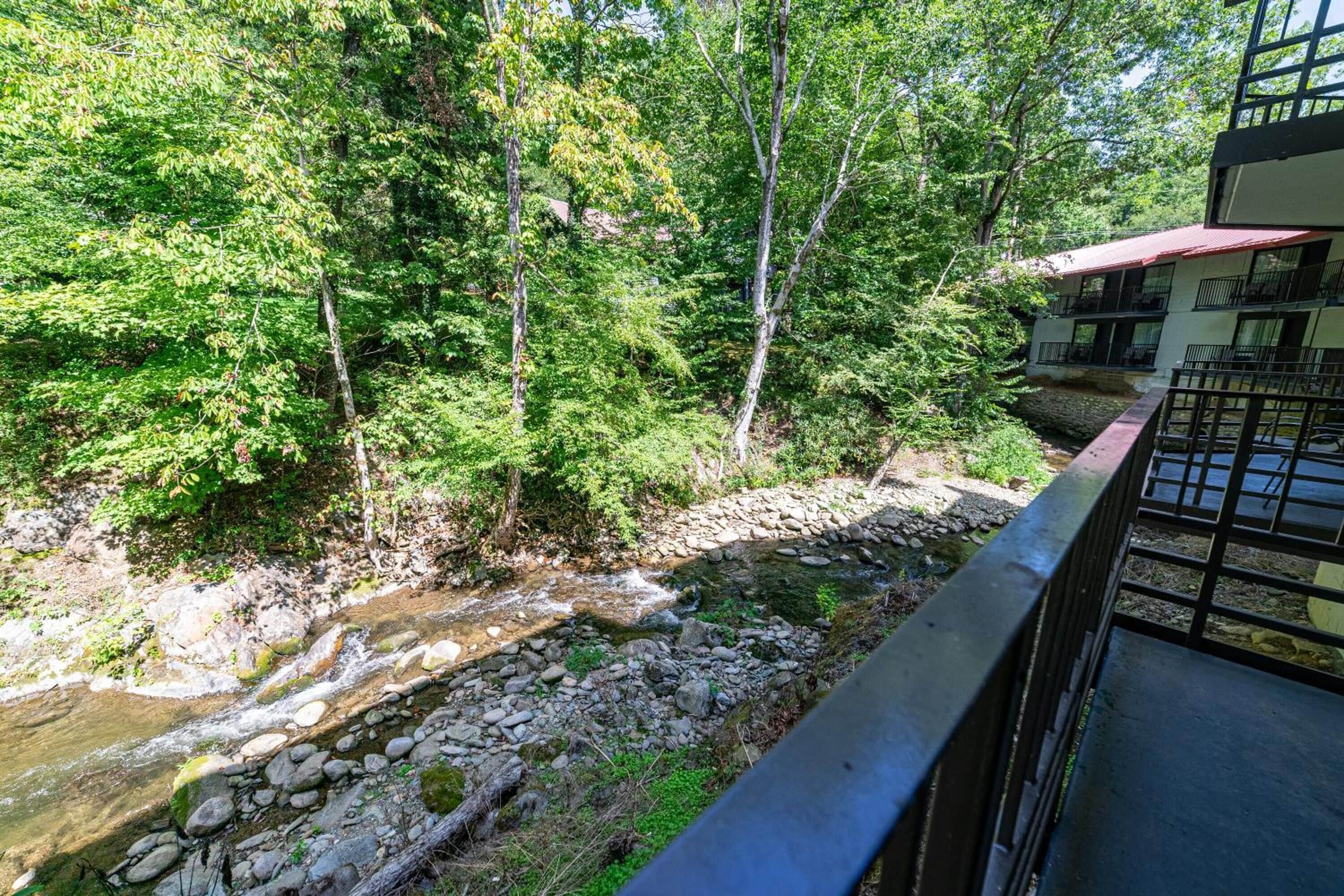 A river flowing through a forested area with a building adjacent to it.