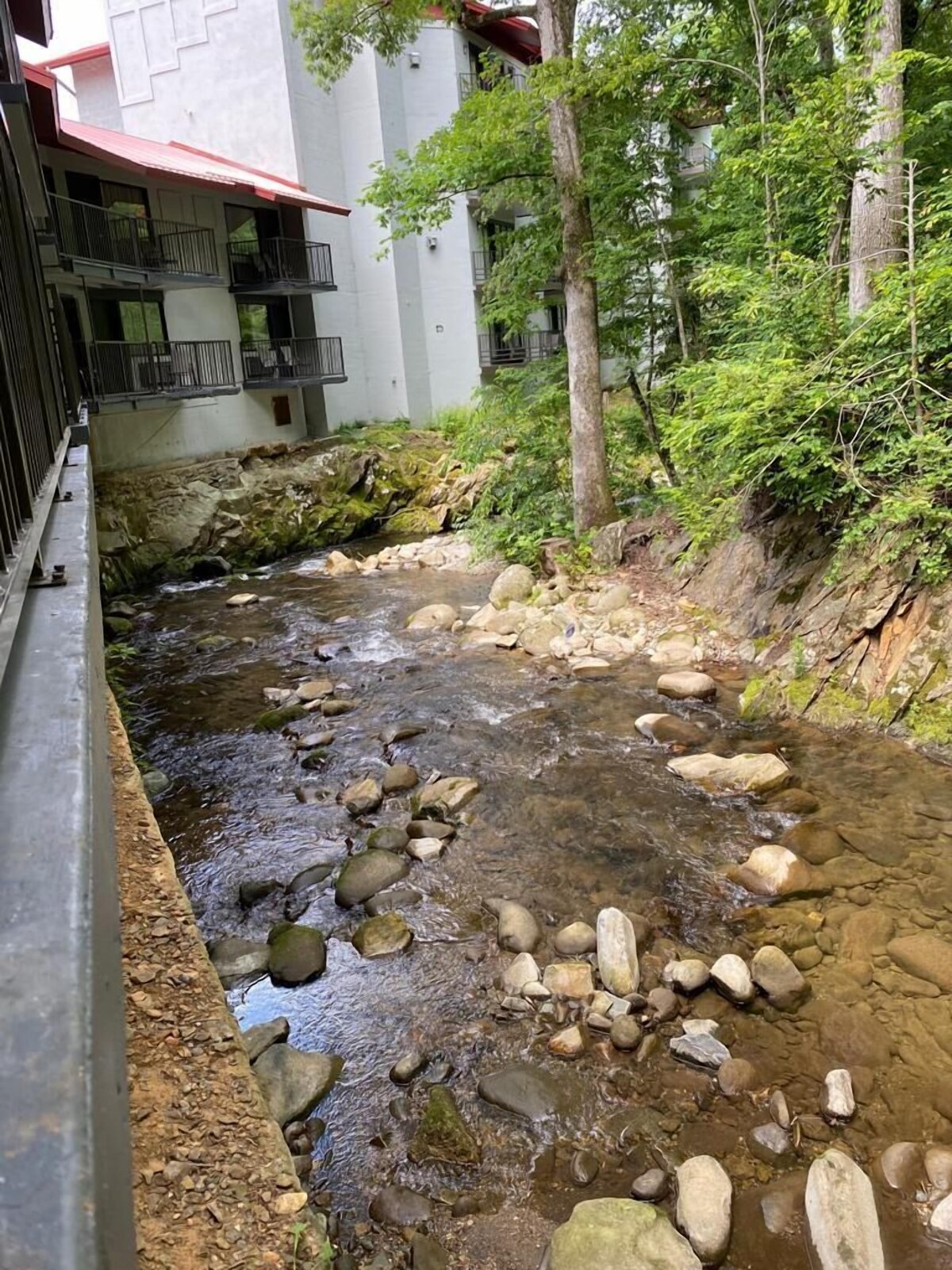 Bear Creek Inn 2022 Room Prices, Deals & Reviews