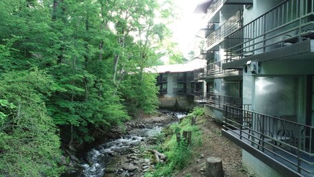 Bear Creek Inn - Image 22