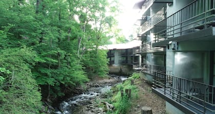 Bear Creek Inn