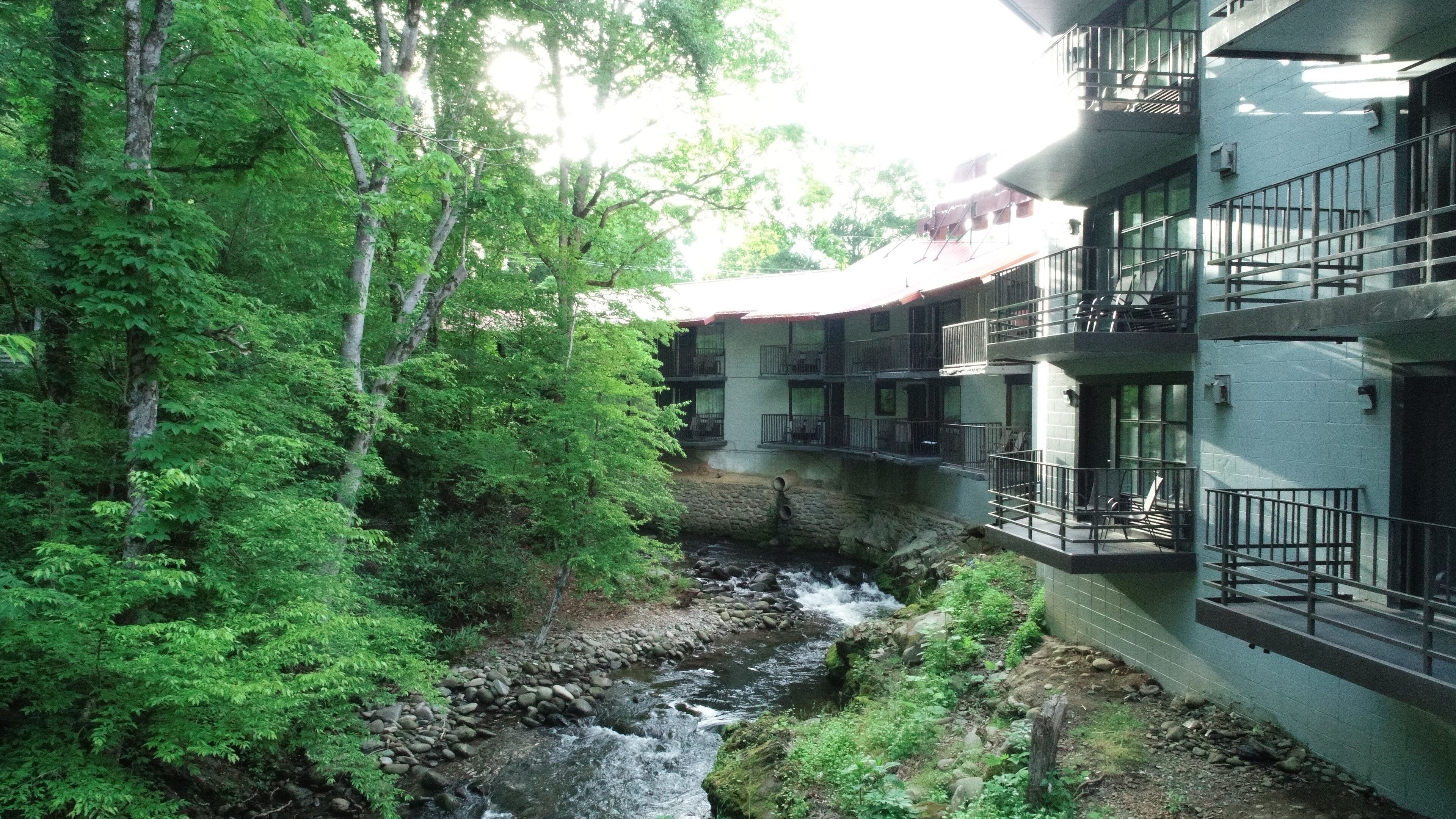 Un hôtel doté d’un mur de soutènement en pierre, d’un ruisseau et d’une végétation luxuriante.