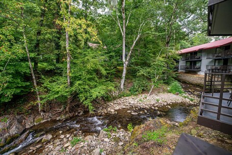 Bear Creek Inn - Image 29