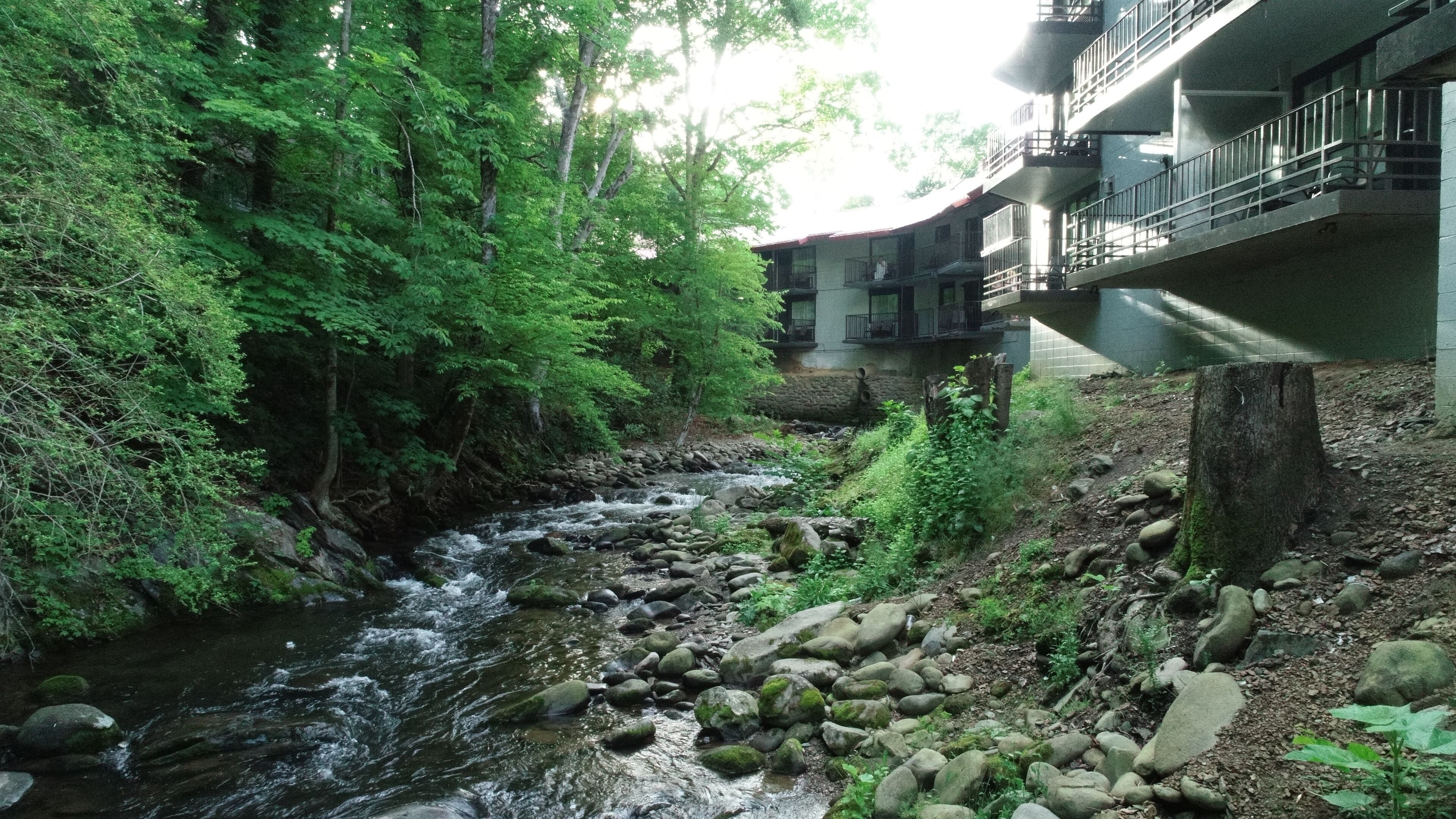 A river flowing through a forested area with a building in the background.