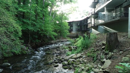 Bear Creek Inn - Image 27