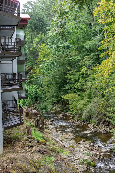 Bear Creek Inn - Image 25