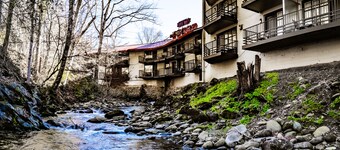 Bear Creek Inn