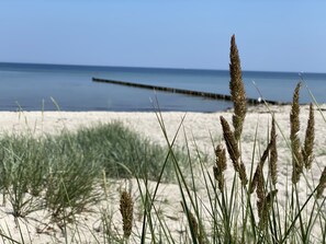 A beach with sand dunes and grass in the foreground, and a calm sea in the background. - Ferienwohnung Poeler Koje (Insel Poel)