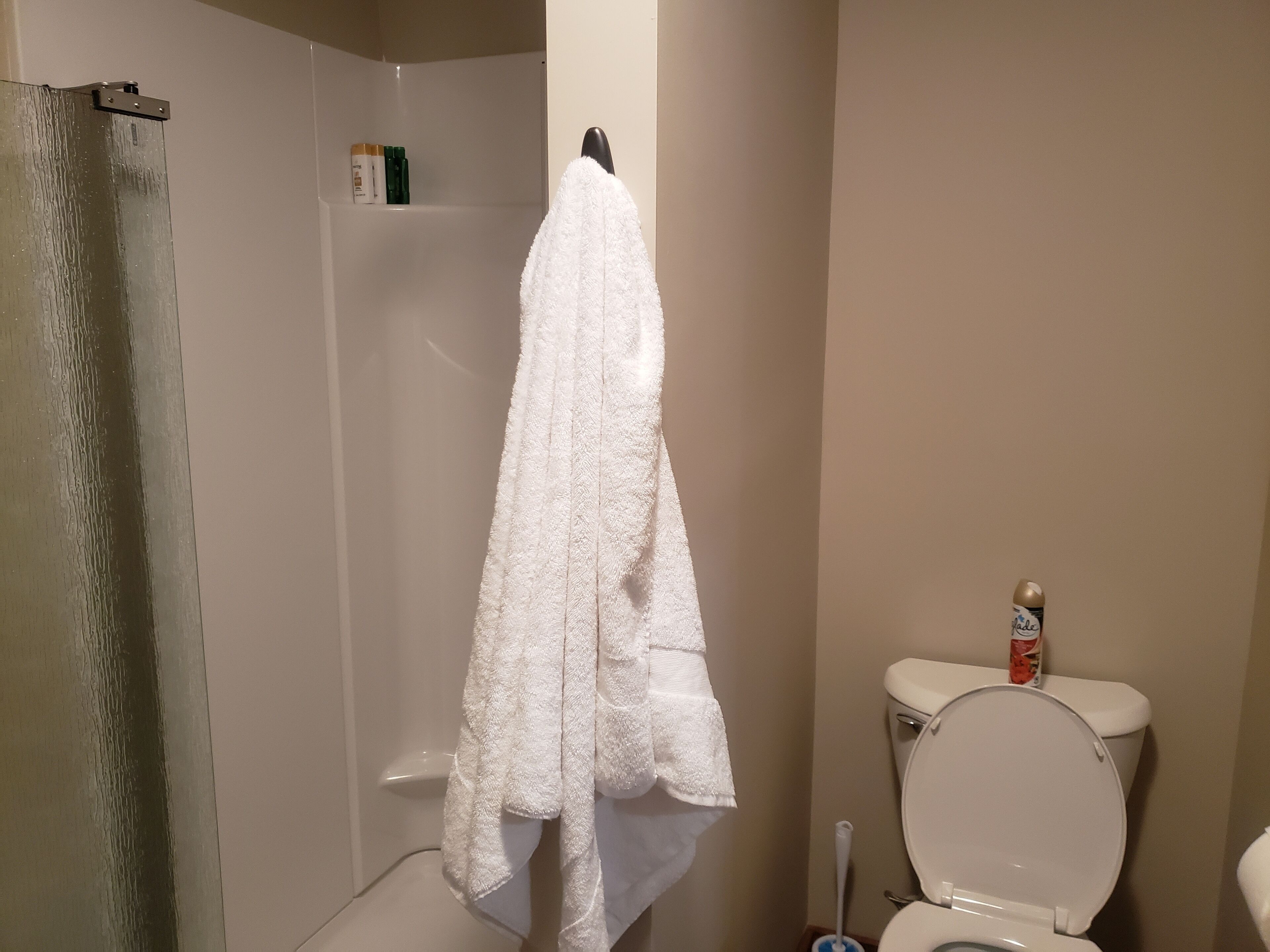 Shower, towels, soap, shampoo