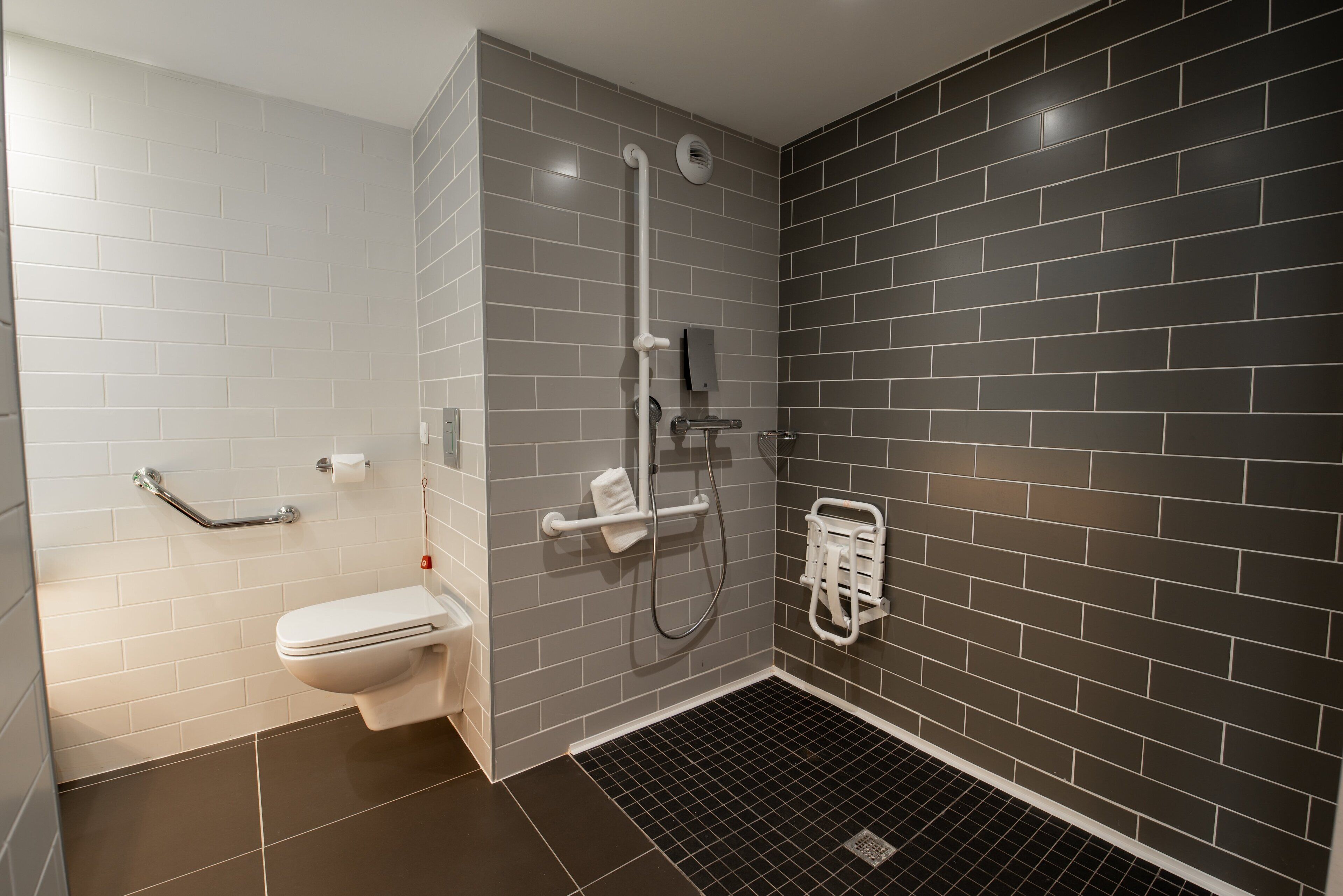 A modern bathroom with a toilet, shower, and handrails.