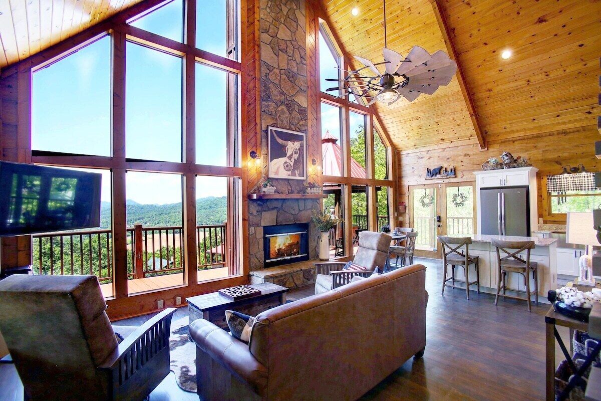 Smart TV, chimenea, reproductor de DVD y libros 