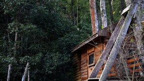 Una cabaña rústica rodeada de un bosque denso.