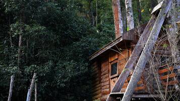 Camelia Cottage 2 | Exterior