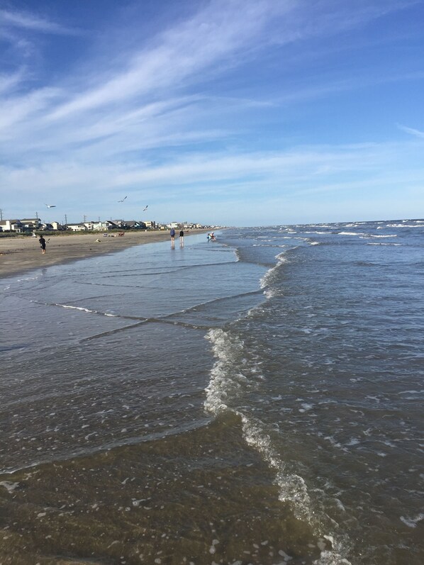 ビーチの近く、サンラウンジャー、ビーチタオル