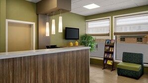 Zona de recepción con mostrador de madera, televisor de pantalla plana, lámparas colgantes, estantería, planta en maceta y un sillón con estampado.