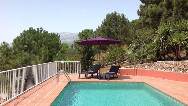 Piscina com duas espreguiçadeiras e um guarda-sol roxo, cercada por um muro branco e várias árvores.
