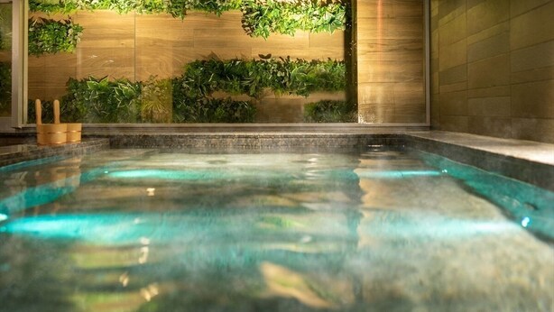 Ein Whirlpool mit Holzwand und dahinter grüner Bepflanzung.