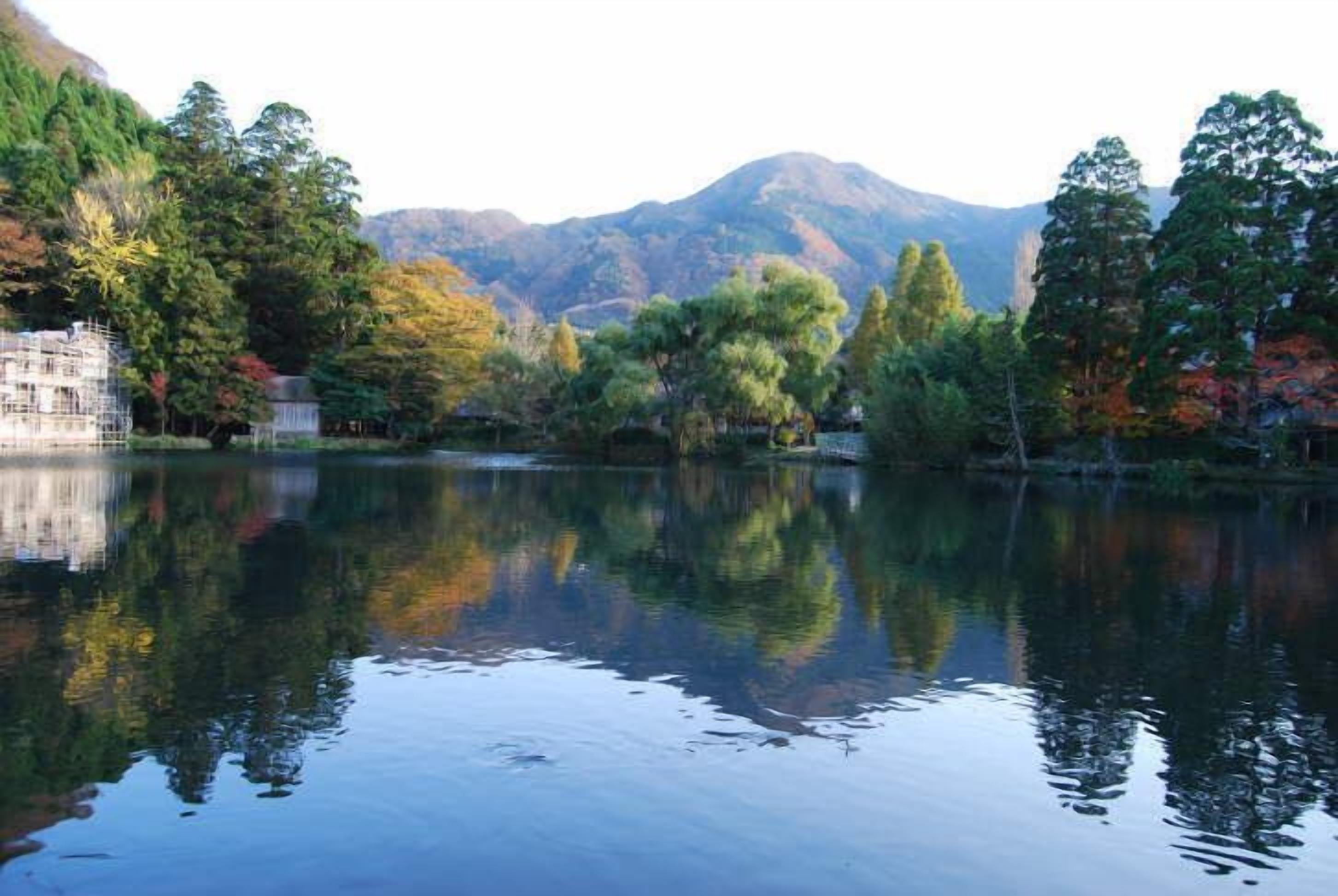 A serene lake with reflections of trees and mountains, surrounded by a forested area.