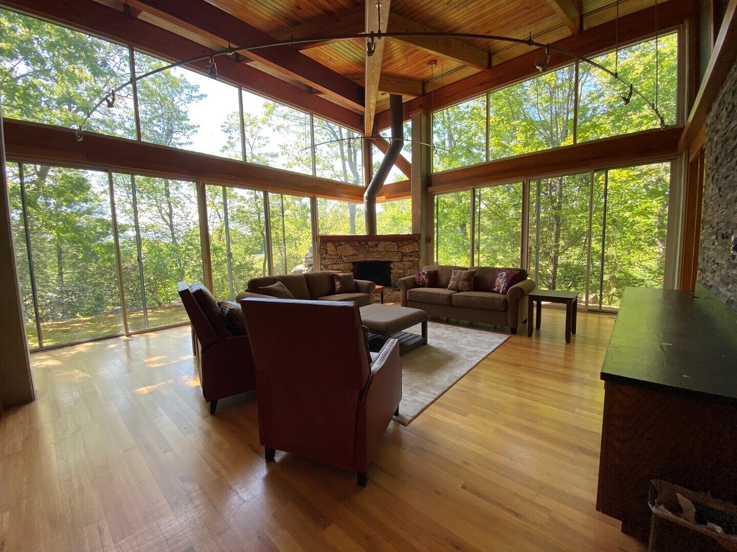 TV, fireplace, video games, DVD player