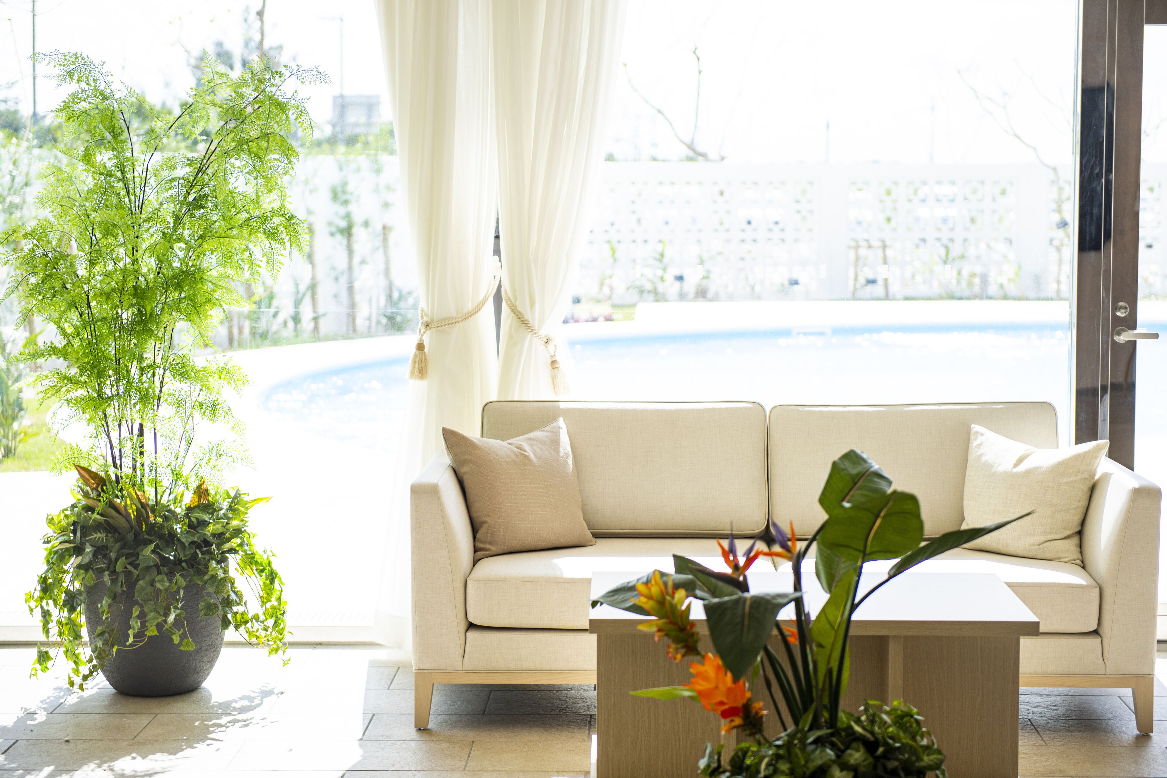 Un salon moderne avec un canapé beige, une table basse et une grande plante en pot.