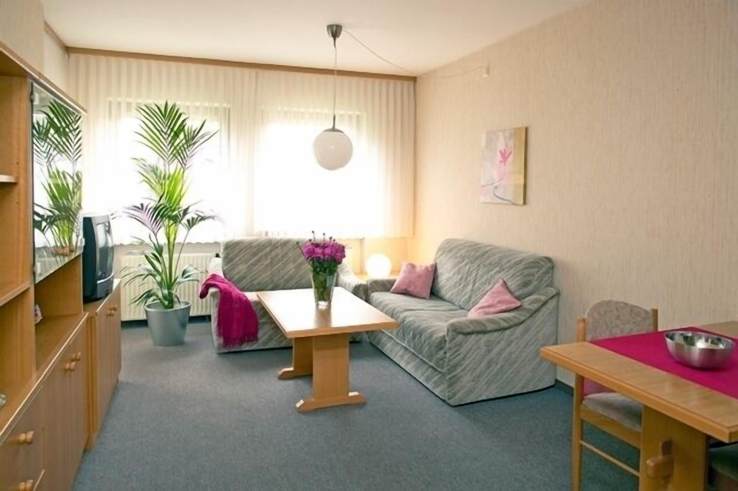 Fernseher