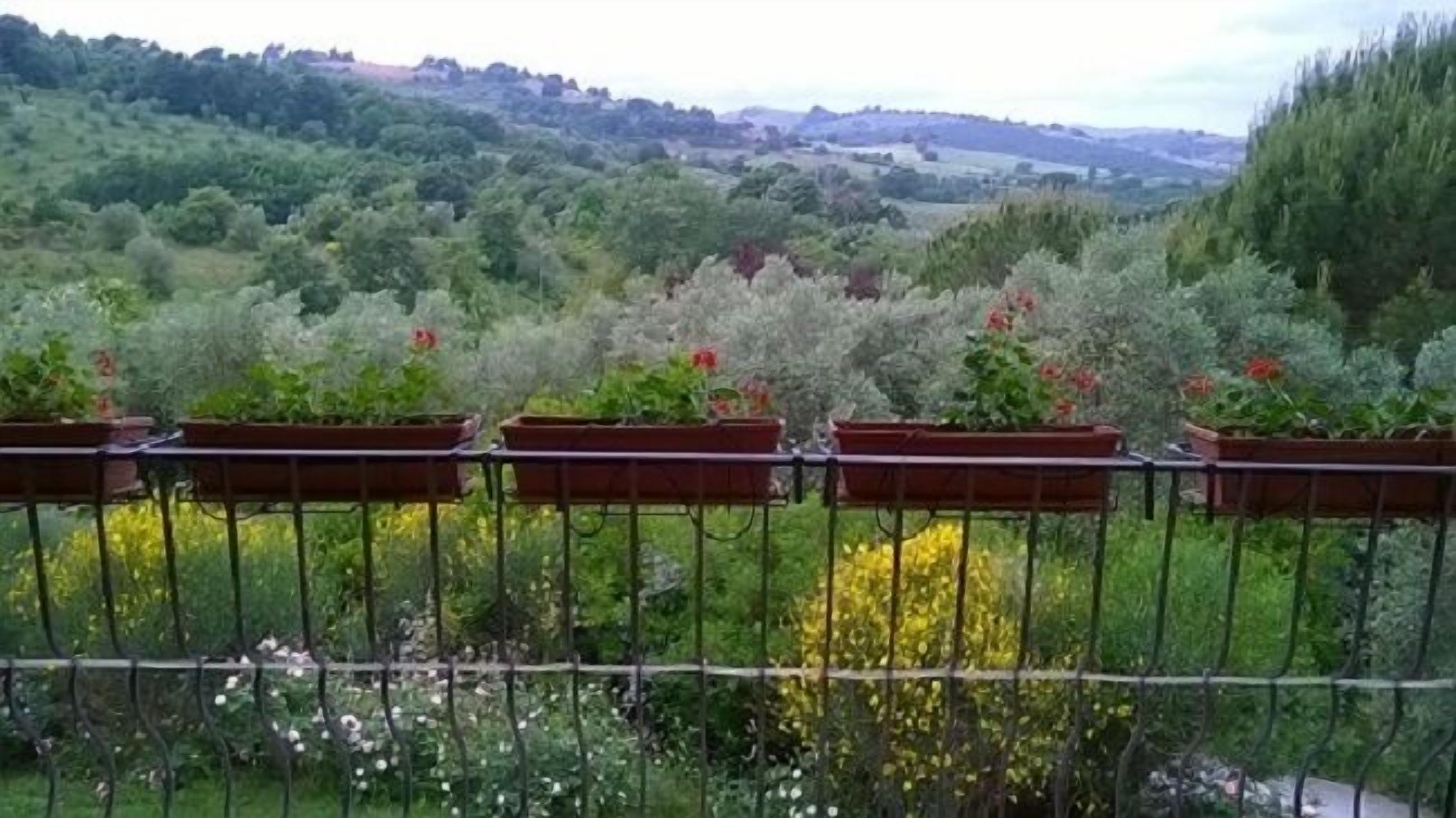 A balcony with potted plants and a view of a lush green landscape.