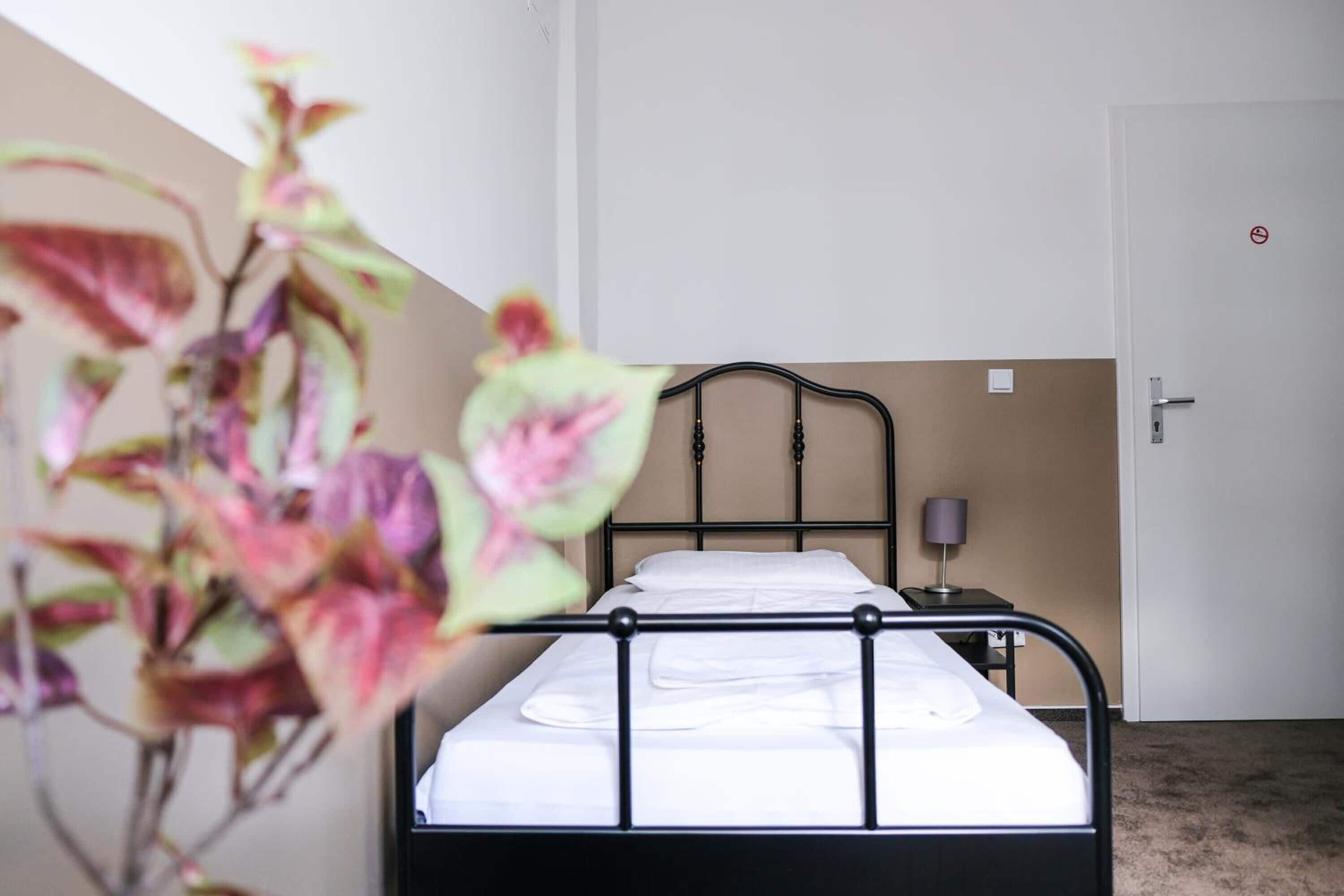 Photo - Hammerbrook Hostel