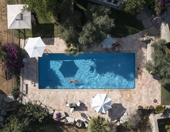 Outdoor pool - Jerusalem Pool House (Moshav Bet Zayit)