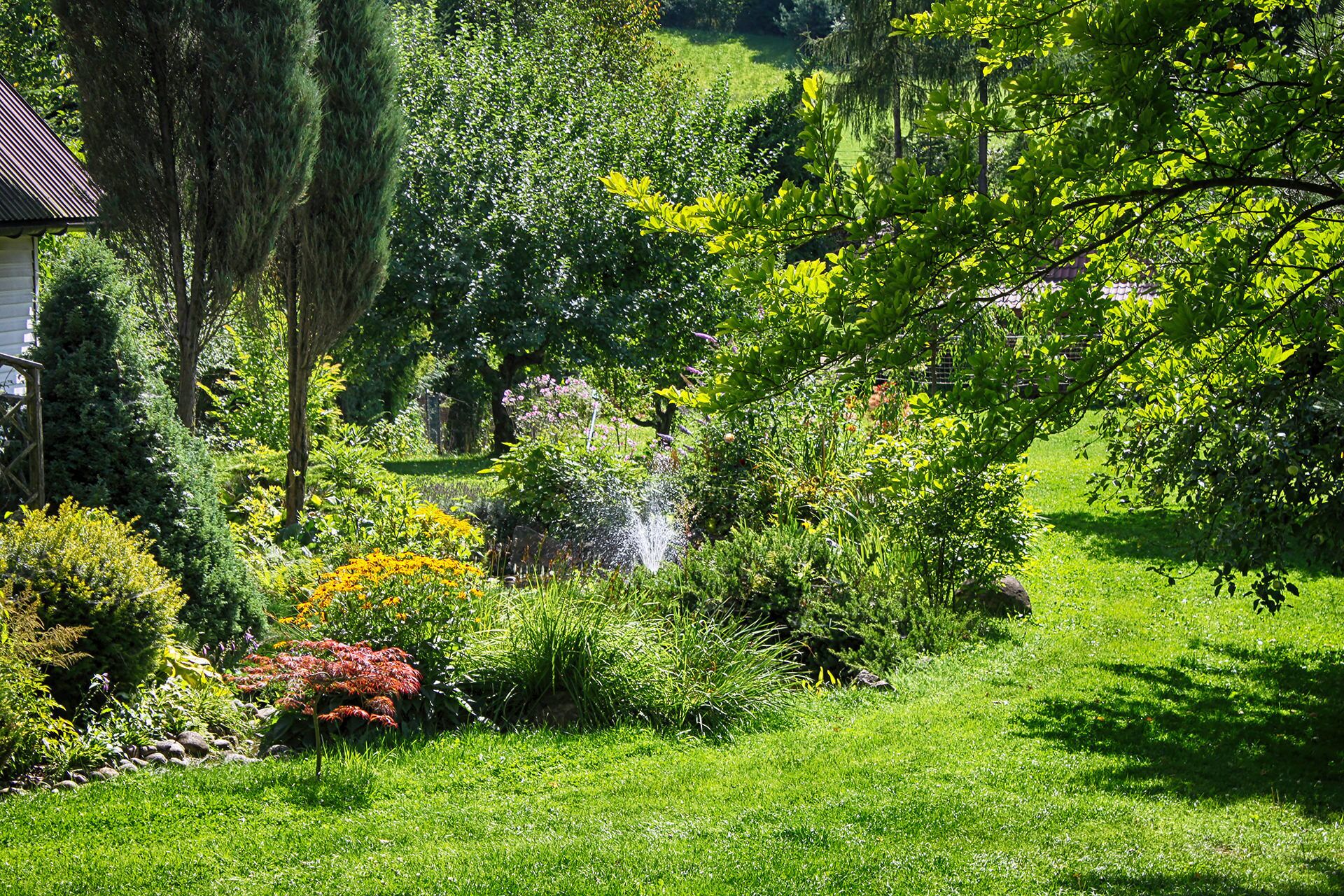 Un exuberante jardín con diversas plantas y un pequeño elemento acuático.