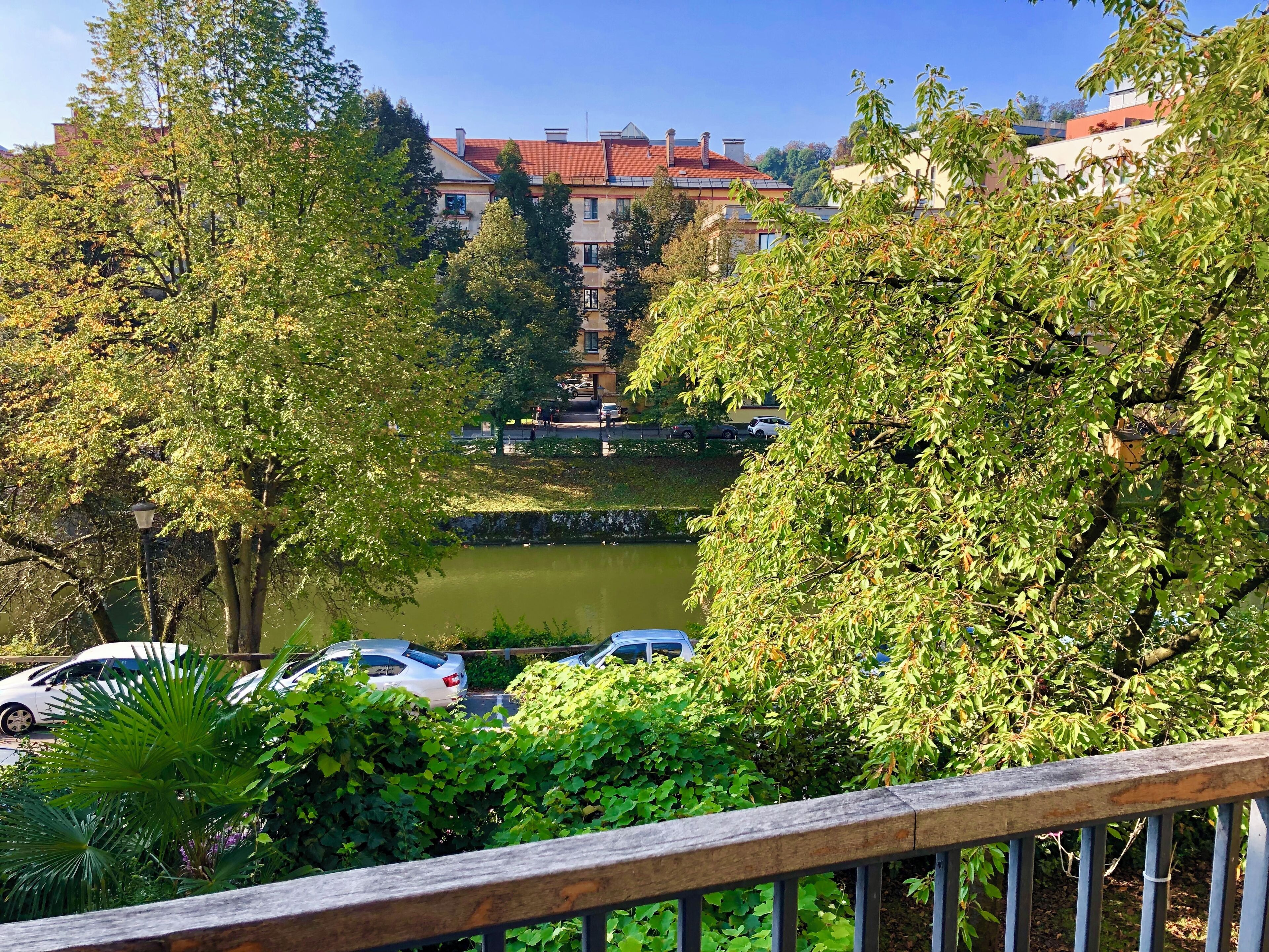 المنطقة المحيطة بالمنشأة