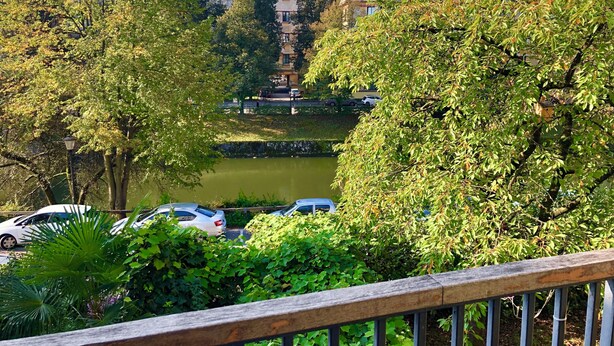 A view of a courtyard with a pond, surrounded by trees and parked cars. - Ljubljana centre, river view, balcony & bikes (Ljubljana)