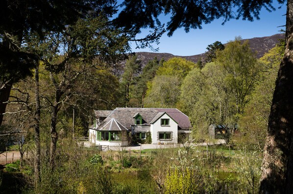 A house with a sloped roof, surrounded by trees and a mountain in the background.