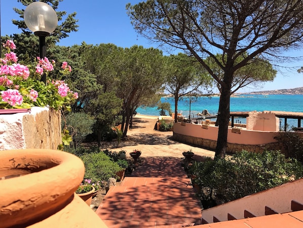 Un sentier menant à une plage d’où l’on a une vue dégagée sur la mer, le tout étant bordé d’arbres et de plantes en pot.
