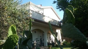 Een huis met een patio, omringd door cactussen en planten in potten.