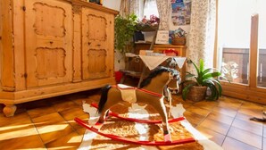 Children’s play area – indoor - Baby- und Kinderbauernhof Oberhasling (Saalfelden am Steinernen Meer)