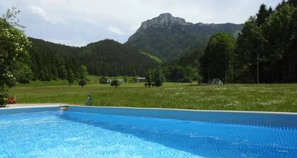 MOAR Sommerauer