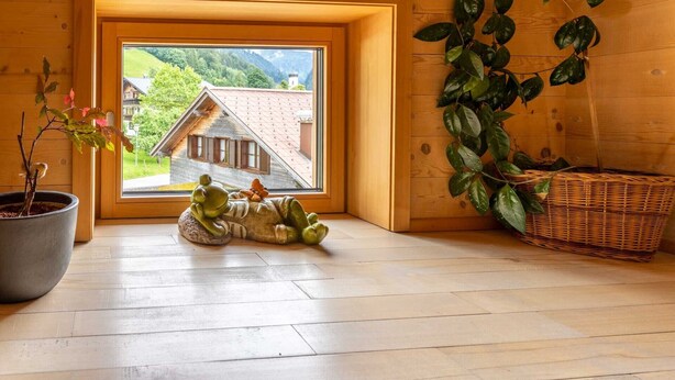 Interior detail - Forsthaus Schoppernau (Schoppernau)