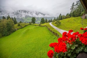 Vista montagna