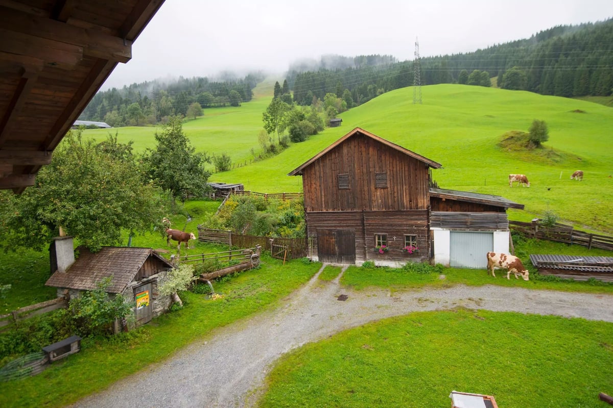 Appartement (Bergblick) | Uitzicht op de bergen