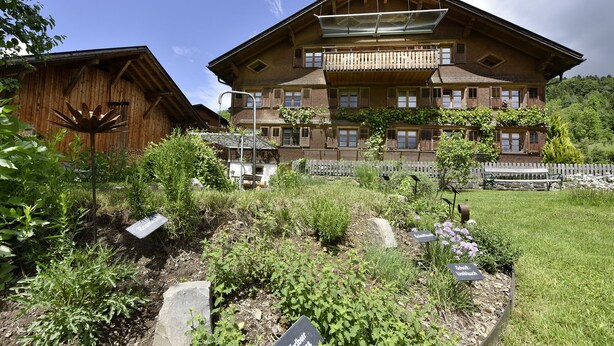 Een klassiek houten chalet met een balkon, omgeven door een verzorgde tuin met aangeduide planten.