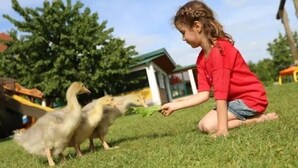 Actividades infantiles