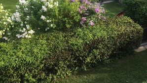 Garden - Pfeiffer- Vogl (Arbesbach)