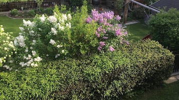 Jardín