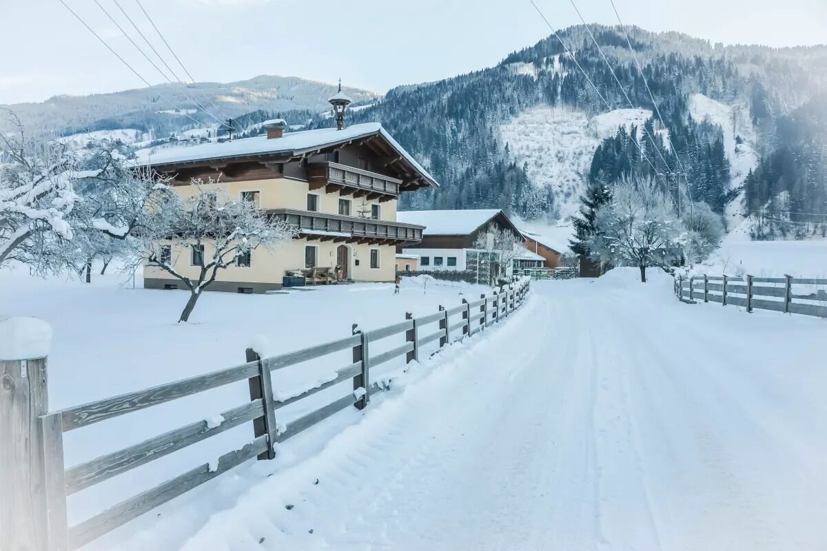 Foto - Bio-Bauernhof Reiterhof