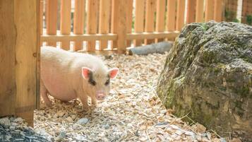 Activités pour enfants