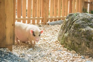 Aktivitäten für Kinder
